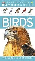 Algopix Similar Product 19 - Nature Guide: Birds (Nature Guides)