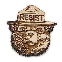 Algopix Similar Product 10 - Smokey the Bear RESIST Wood Hat Pin 