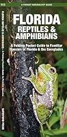Algopix Similar Product 15 - Florida Reptiles  Amphibians A