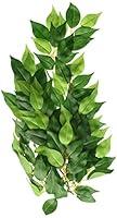 Algopix Similar Product 18 - Exo Terra Silk Terrarium Plant Medium