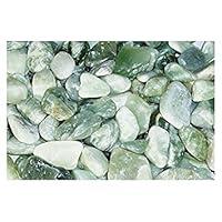 Algopix Similar Product 12 - Exotic Pebbles PJ201030 20 lb Polished