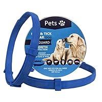 Algopix Similar Product 18 - Cat Tunnel Cat Toy 4Way Cat Tunnel