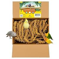 Algopix Similar Product 10 - Birds LOVE Wholesome  Lovely Spray