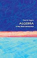 Algopix Similar Product 1 - Algebra A Very Short Introduction