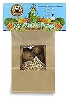 Algopix Similar Product 12 - 5 Praying Mantis Egg Cases with