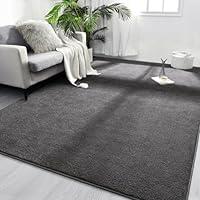 Algopix Similar Product 15 - FlyDOIT Area Rugs for Bedroom Living