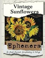 Algopix Similar Product 2 - Vintage Sunflowers Ephemera Stunning