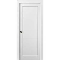 Algopix Similar Product 20 - Panel Pocket Door 36 x 84 with Frames 