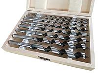 Algopix Similar Product 12 - PAULIMOT SchlangenbohrerSatz 8teilig