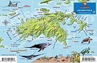 Algopix Similar Product 6 - St John USVI Dive Map Fish ID Virgin