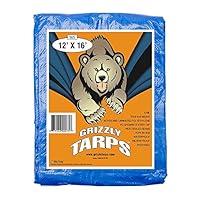 Algopix Similar Product 11 - Grizzly Tarps by BAir 12 x 16 Large