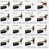 Algopix Similar Product 1 - Barnsley 100 Assorted Dry and Nymph Fly