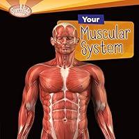 Algopix Similar Product 13 - Your Muscular System