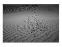 Algopix Similar Product 14 - Looking for Ansel Adams no. 3
