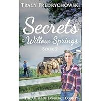 Algopix Similar Product 12 - Secrets of Willow Springs  Book 2 An