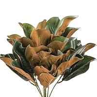 Algopix Similar Product 14 - Factory Direct Craft Artificial