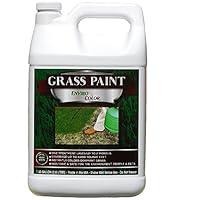 Algopix Similar Product 10 - EnviroColor 4EverGreen Grass and Turf
