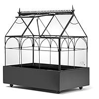 Algopix Similar Product 2 - H Potter Glass Terrarium Plants