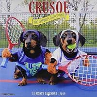 Algopix Similar Product 16 - Crusoe the Celebrity Dachshund 2019