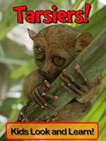 Algopix Similar Product 1 - Tarsiers Learn About Tarsiers and