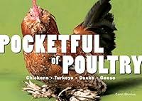 Algopix Similar Product 17 - Pocketful of Poultry