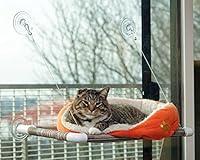 Algopix Similar Product 14 - Kitty Cot Original Worlds Best Cat