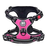 Algopix Similar Product 18 - PoyPet No Pull Dog Harness No Choke