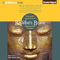 Algopix Similar Product 3 - Buddhas Brain The Practical