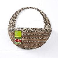 Algopix Similar Product 11 - Gardman R303 Sisal RopeFern Wall