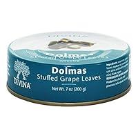 Algopix Similar Product 3 - Divina Stuffed Grape Leaves Dolmas in