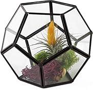 Algopix Similar Product 7 - Circleware Terraria Glass Terrarium