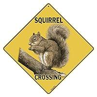 Algopix Similar Product 16 - CROSSWALKS Squirrel Crossing 12 X 12
