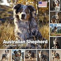 Algopix Similar Product 9 - Australian Shepherd Calendar 2025 365