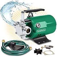 Algopix Similar Product 12 - SumpMarine Water Transfer Pump 115V
