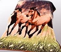 Algopix Similar Product 12 - Hiyoko Thick Twin Horse Blanket Queen