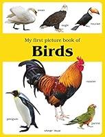 Algopix Similar Product 4 - My first picture book of Birds