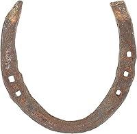 Algopix Similar Product 16 - Wonder Care Horseshoe Authentic Used