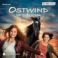 Algopix Similar Product 20 - Der große Orkan: Ostwind 5