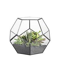 Algopix Similar Product 5 - NCYP Small Open Terrarium Planter 