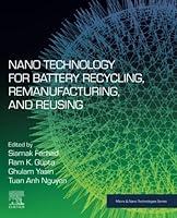 Algopix Similar Product 1 - Nano Technology for Battery Recycling