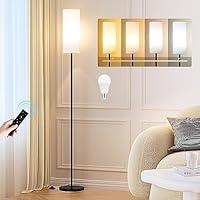 Algopix Similar Product 19 - Ambimall Floor Lamps for Living Room