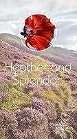 Algopix Similar Product 1 - Heather and Splendor