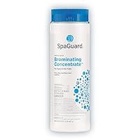 Algopix Similar Product 3 - SpaGuard Brominating Concentrate - 2 lb