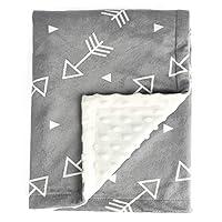 Algopix Similar Product 19 - BORITAR Baby Blanket Super Soft Minky