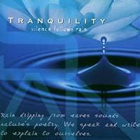 Algopix Similar Product 5 - Tranquility: Silence Follows Rain
