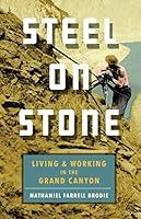 Algopix Similar Product 13 - Steel on Stone Living and Working in