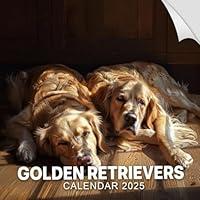 Algopix Similar Product 20 - Golden Retrievers Calendar 2025 365