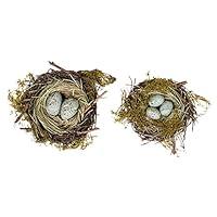 Algopix Similar Product 13 - Dried Twig Wrapped with Blue Eggs