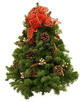 Algopix Similar Product 18 - Worcester Wreath Cinnamon Stick Maine