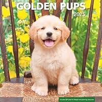 Algopix Similar Product 7 - Golden Pups 2025 Wall Calendar  Golden